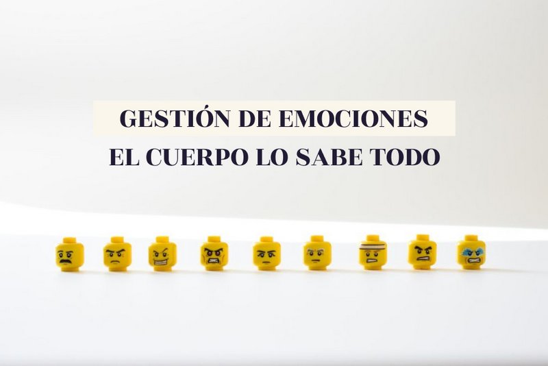 ¿Te gustaría saber gestionar las emociones incómodas? ¿quieres dejar de huir del aburrimiento o la vergüenza? Sigue leyendo para saber más.