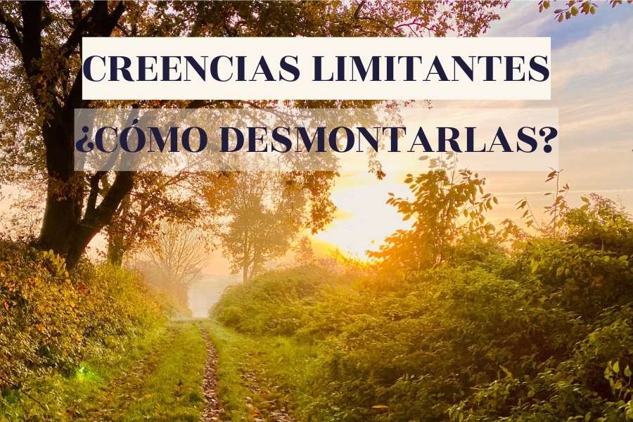 Desmonta creencias limitantes y transforma tu vida. Supera desesperanza, impotencia e indignidad. Descubre más en el artículo completo.