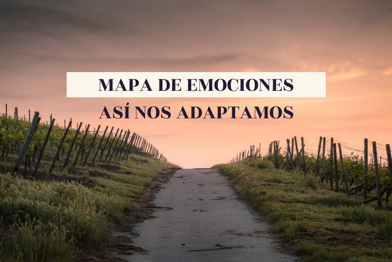 Aprendí que las emociones incómodas son útiles, y además mucho, están ahí para ayudarnos. Si quieres saber más, sigue leyendo.